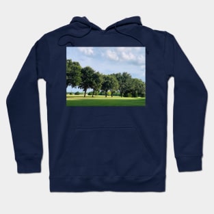 Landscape Hoodie